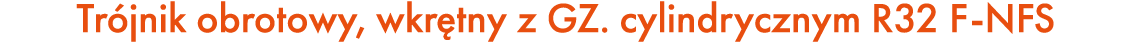 Tr jnik obrotowy, wkr tny z GZ. cylindrycznym R32 F NFS